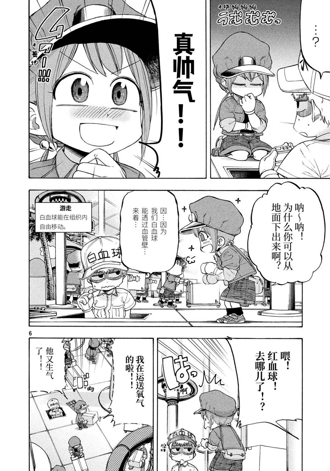 第6页