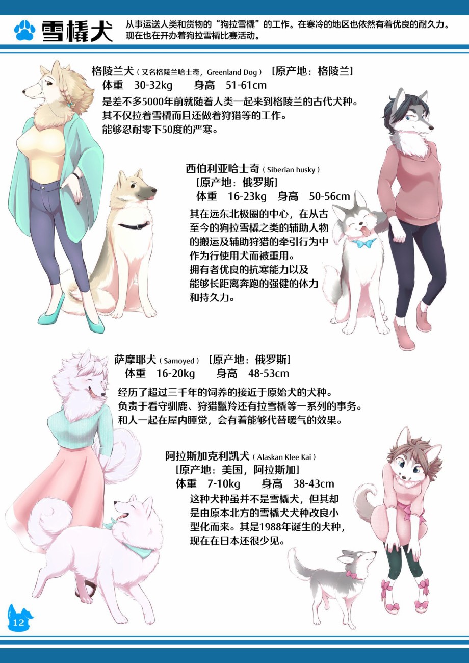 第12页