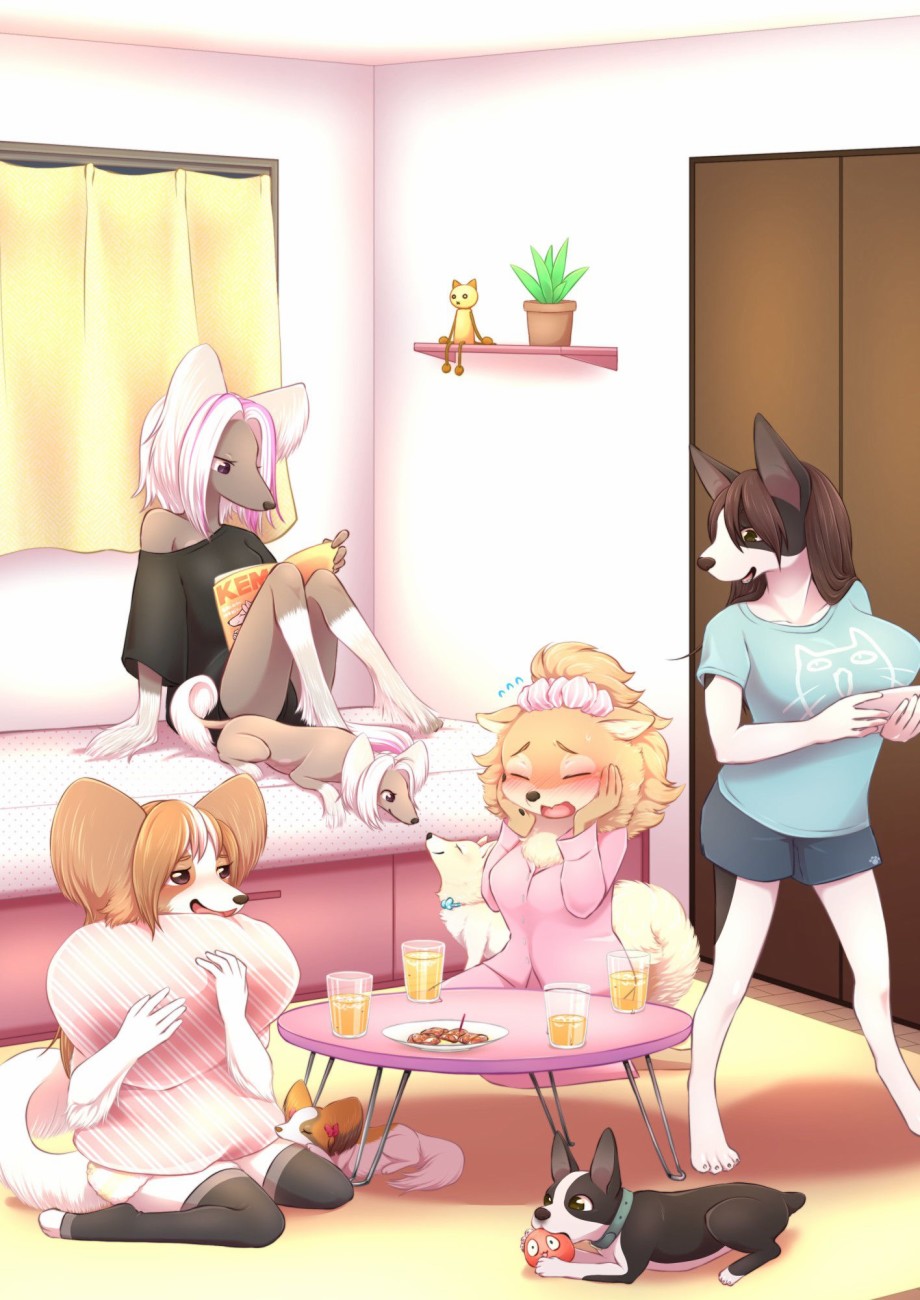 第15页
