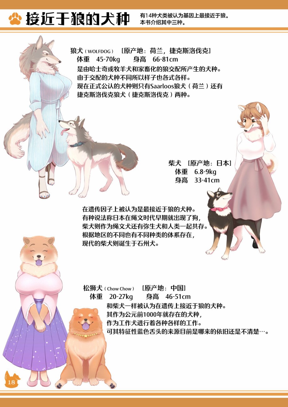 第18页