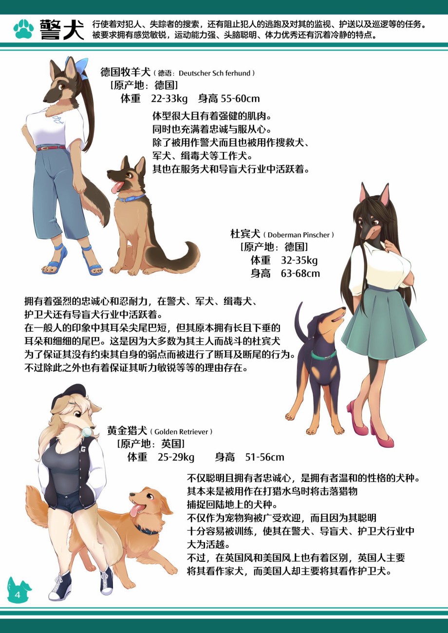 第4页