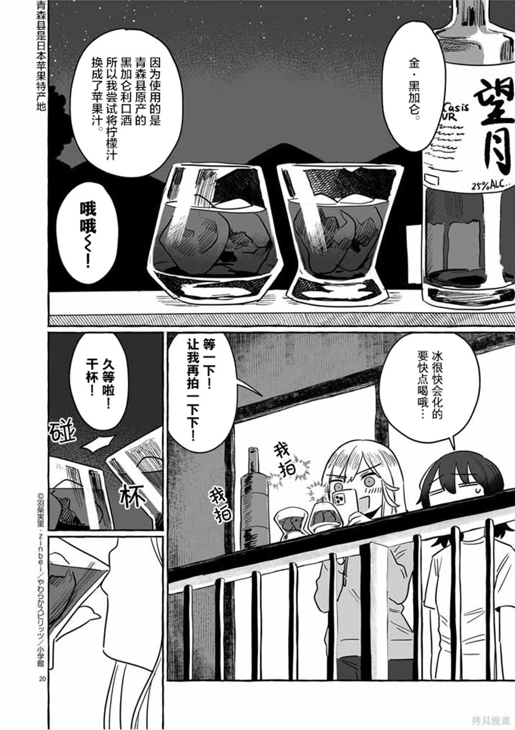 第20页